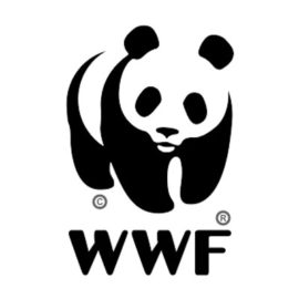 14/09/2017 | Giornata di formazione naturalistica ad Ameno – Educazione ambientale passeggiando lungo il percorso didattico WWF