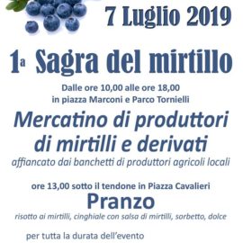 7/07/2019 | Prima Sagra del Mirtillo ad Ameno