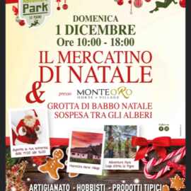 1/12/2019 | Mercatino e Grotta di Babbo Natale ad Ameno