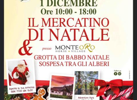 1/12/2019 | Mercatino e Grotta di Babbo Natale ad Ameno